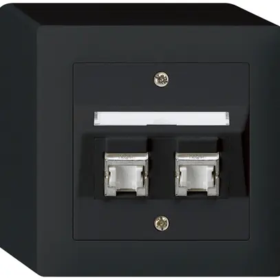 Prise AP kallysto cat.6 2RJ45/s noir 
