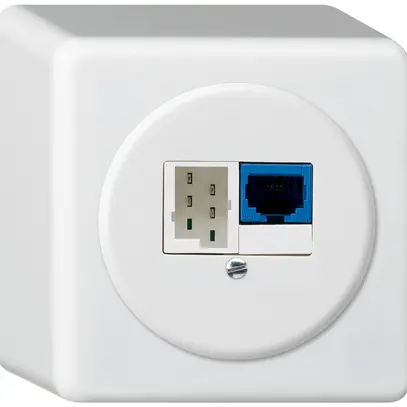Scatola di raccordo AP DSL basico 1×RJ45/1×T+T bianco 