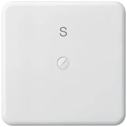 Placca di copertura basico grd.III mat.sint. bianco con incisione S 