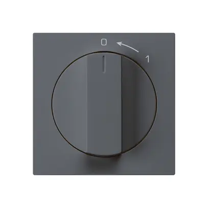 Contact pivotant 0<-1/2L anthracite kallysto avec manette 