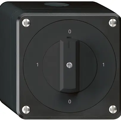 Interruttore rotativo AP robusto IP55 schema 0/2P nero 