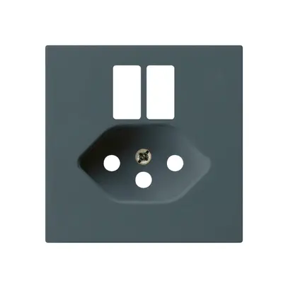 Plaque frontale kallysto pour prise 2×USB & T13 anthracite 