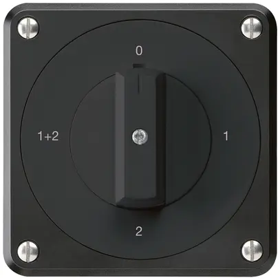 Interruttore rotativo INC robusto IP55 schema 1/1P nero 