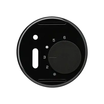 UP-Frontscheibe basico schwarz für Raumthermostat mit Schalter 
