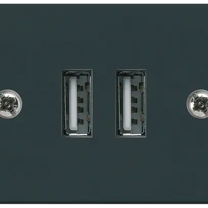 Prise INC 2×USB HA FLF 2400mA noir 