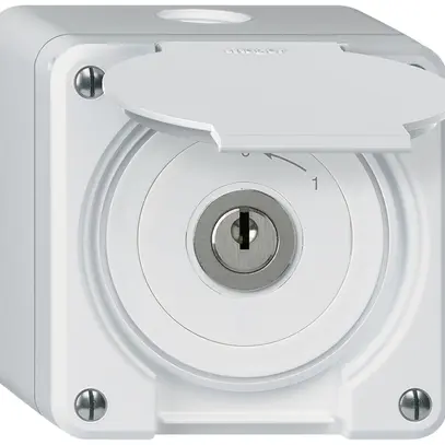Contact pivotant à clé AP robusto IP55 blanc avec clapet 1P 