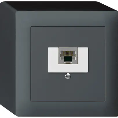 Boîte AP kallysto 1×RJ45s anthracite 