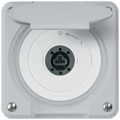 Contact pivotant à clé ENC robusto IP55 gris avec clapet sans cylindre 2P 