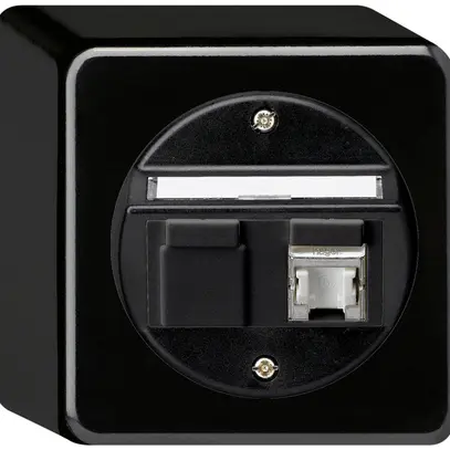 Boîte de raccordement AP basico cat.6 1RJ45/s noir 