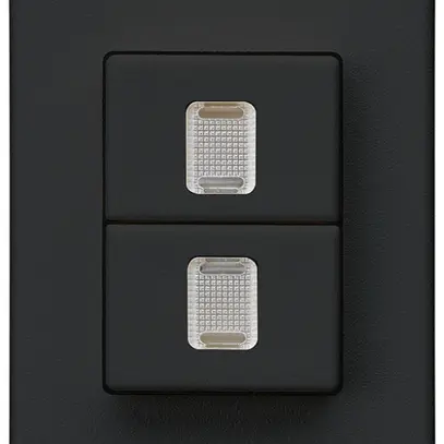 Poussoir double INC Hager FLF 10A/250V 0/1L illuminé noir 