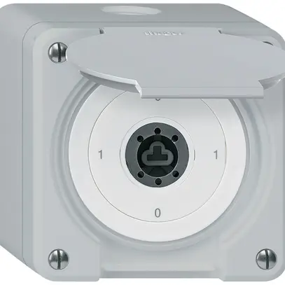 Interrupteur à clé AP robusto IP55 avec clapet sans cylindre S0/1P gris 