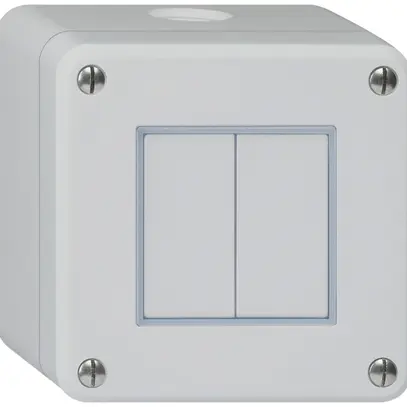 Contatto pulsante AP robusto IP55 2×1P grigio 