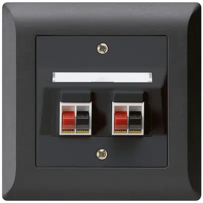 Prise ENC audio kallysto.line 2× noir borne à étrier pour 2 haut-parleurs 