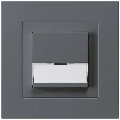 Tasto di suoneria INC A/1L kallysto.pro antracite con porta-etichetta 37×15mm 