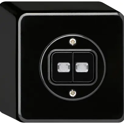 Contact à poussoir lumineux AP basico 2×AR/1L noir 