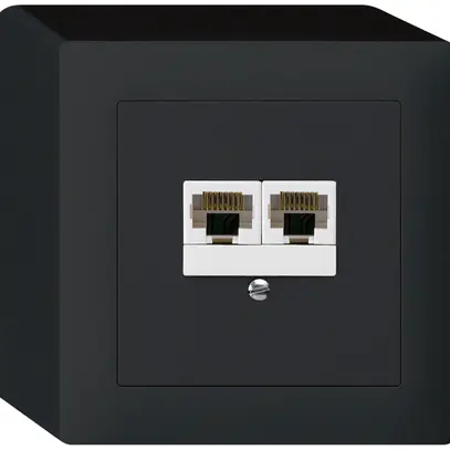 AP-Dose kallysto 2×RJ45u parallel schwarz 
