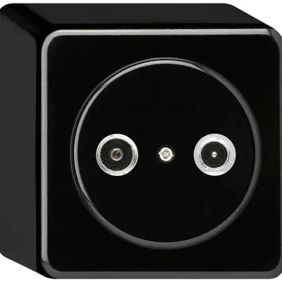 Presa d'antenna AP basico TV-R 4dB 2GHz nero 