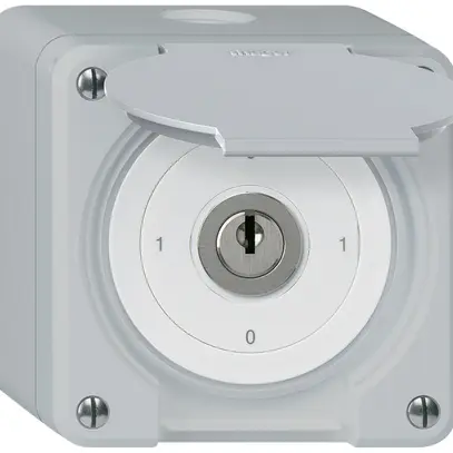 Interrupteur à clé AP robusto IP55 avec clapet S0/1P gris 