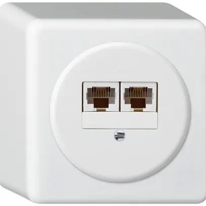 Scatola di raccordo AP basico 2×RJ45u separato bianco 