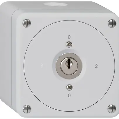 Interrupteur à clé AP robusto sans clapet 2/1P gris 