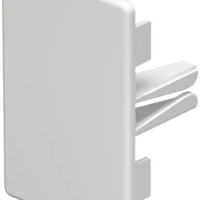 Piastra terminale Bettermann p.canale d'installazione WDK bianco puro 40×60mm 