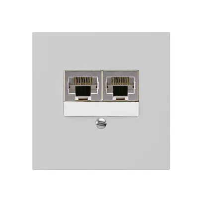 Boîte ENC kallysto 2×RJ45s gris clair parallèle 