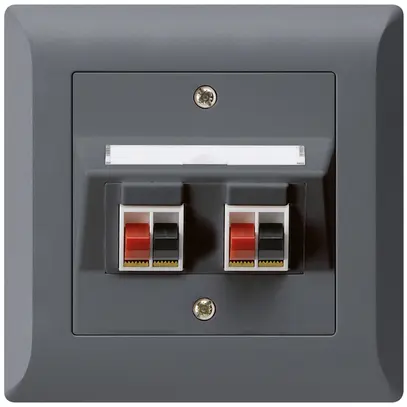 Prise ENC audio kallysto.line 2× anthracite borne à étrier pour 2 haut-parleurs 