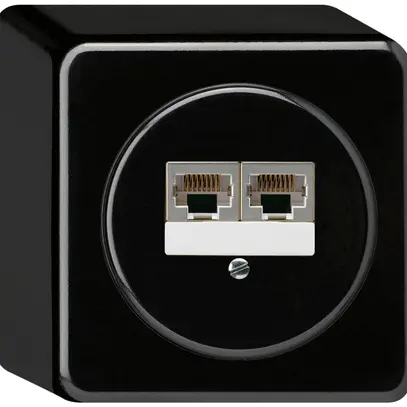 Boîte de raccordement AP basico 2×RJ45s noir parallèle 