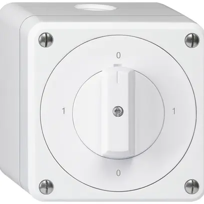 Interrupteur rotatif AP robusto IP55 schéma 0/1P blanc 
