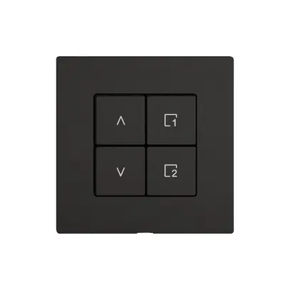 Commande pour interrupteur stores EDIZIO.liv Wiser SNAPFIX® 1C scène WLAN 4T no 