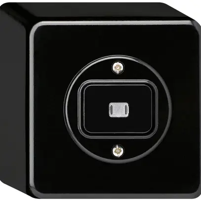Interrupteur AP basico lumineux 3/2L noir 
