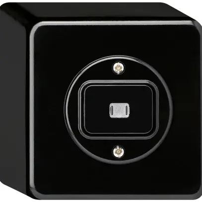 Pulsante luminoso AP basico AR/1L nero 