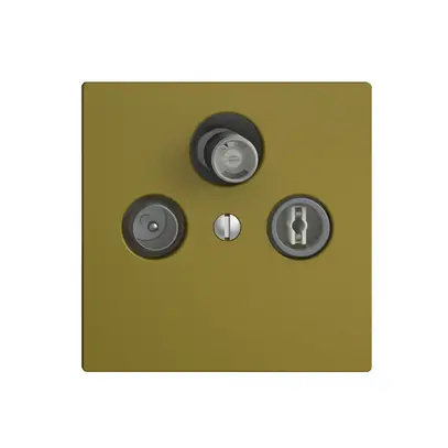 Prise d'antenne SAT/TV/R DB53 EDIZIOdue olive avec SAT-F 