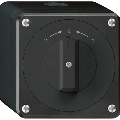 AP-Schwenktaster robusto IP55 schwarz Wechsler 