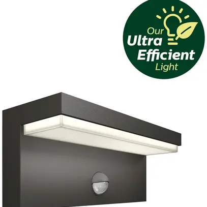 Applique LED Philips Bustan IR 3.8W 800lm 2700K IP44 anthracite 