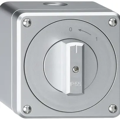 AP-Schwenktaster robusto IP55 aluminium 1P 