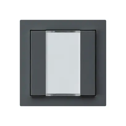 Tasto INC kallysto A KNX 2× s/e-link antracite 