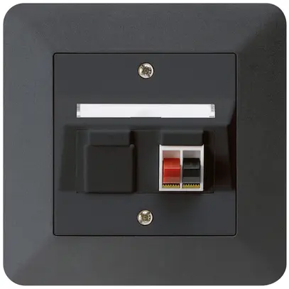 Prise ENC audio kallysto.trend 1×noir borne à étrier pour 1 haut-parleur 