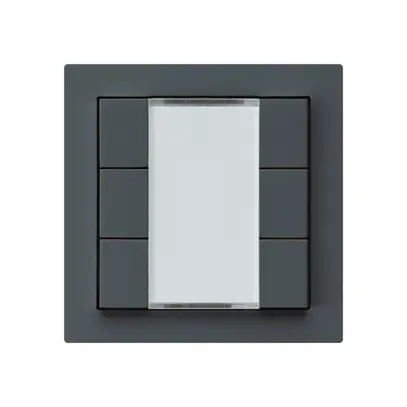 Tasto INC kallysto A KNX 6× s/e-link antracite 