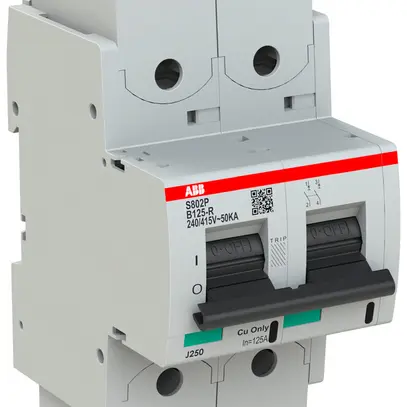 Disjoncteur ABB S802P-B125-R 2P 400V B-125A 50kA 3.5UM 