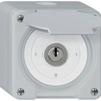 Interrupteur à clé AP robusto IP55 avec clapet S0/2P gris 