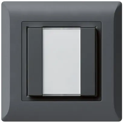Pulsante multifunzionale AP kallysto.line KNX RF 2× antracite 