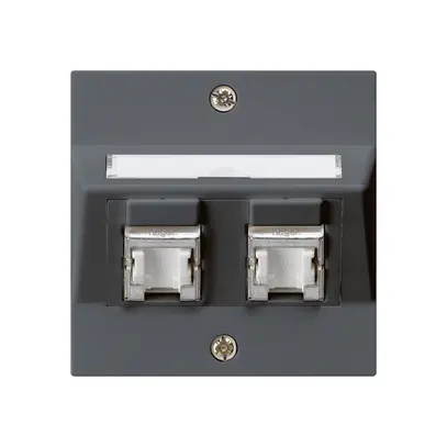 Prise ENC kallysto A cat.6 2RJ45/s anthracite 