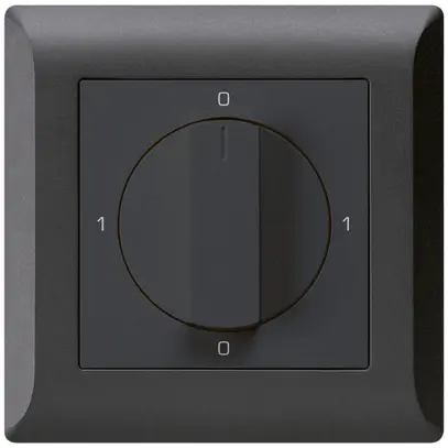 Interrupteur rotatif ENC kallysto.line 0/1L noir avec manette 