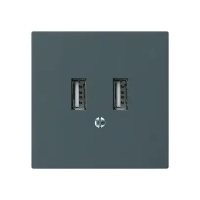 Presa di carica USB INC Hager kallysto A 240V 2400mA antracite 