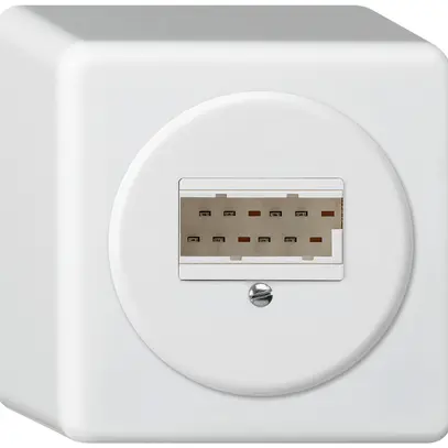 Boîte de raccordement AP basico 2×TT83 blanc 