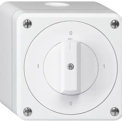 Interrupteur rotatif AP robusto IP55 schéma 0/3P blanc 