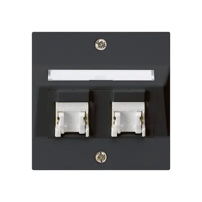 Prise ENC kallysto A cat.5e 2RJ45/u noir 