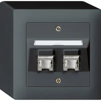 AP-Dose kallysto Kat.6 2RJ45/s anthrazit 