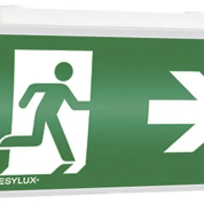 Lampada di emergenza ESYLUX SLE LEDi SC/C fissaggio a soffitto 